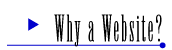 Why a Web Site